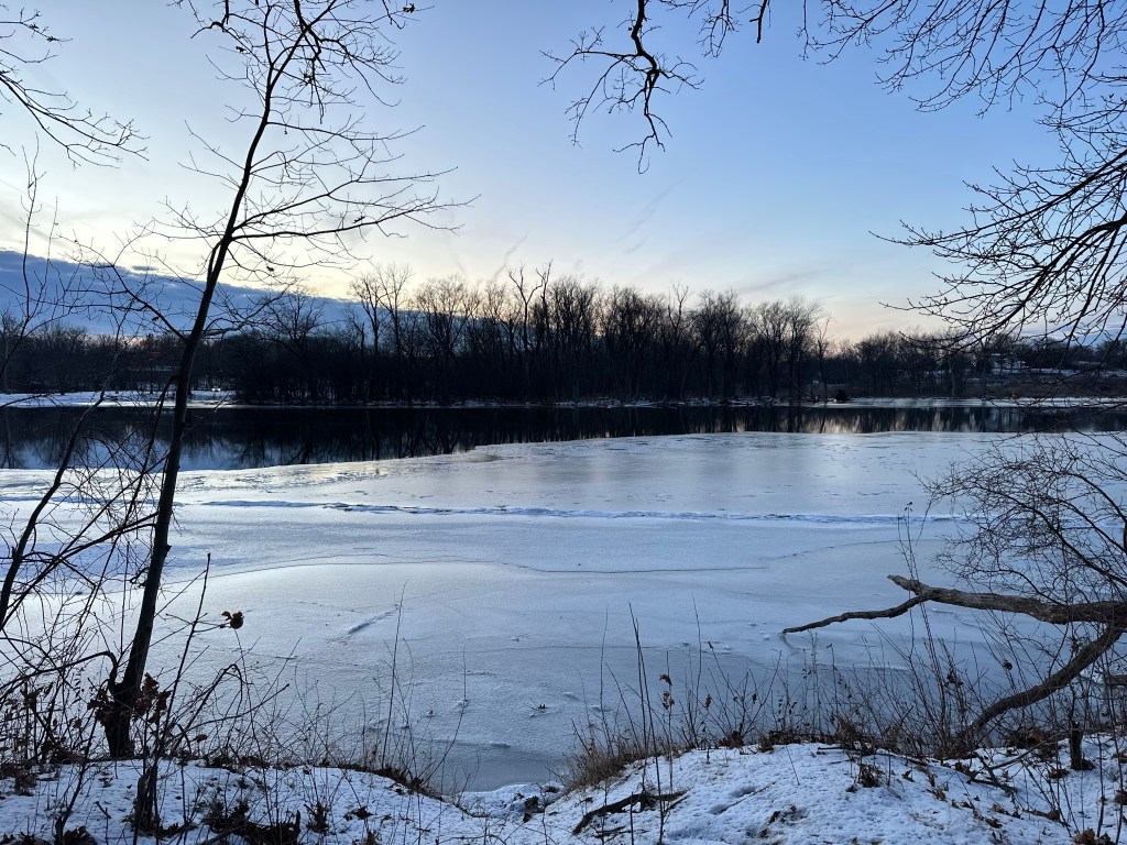 January: Life in panoramic view.